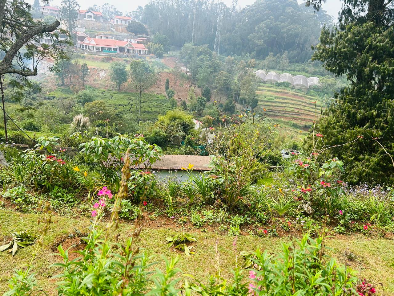 Garden view with terraced hills