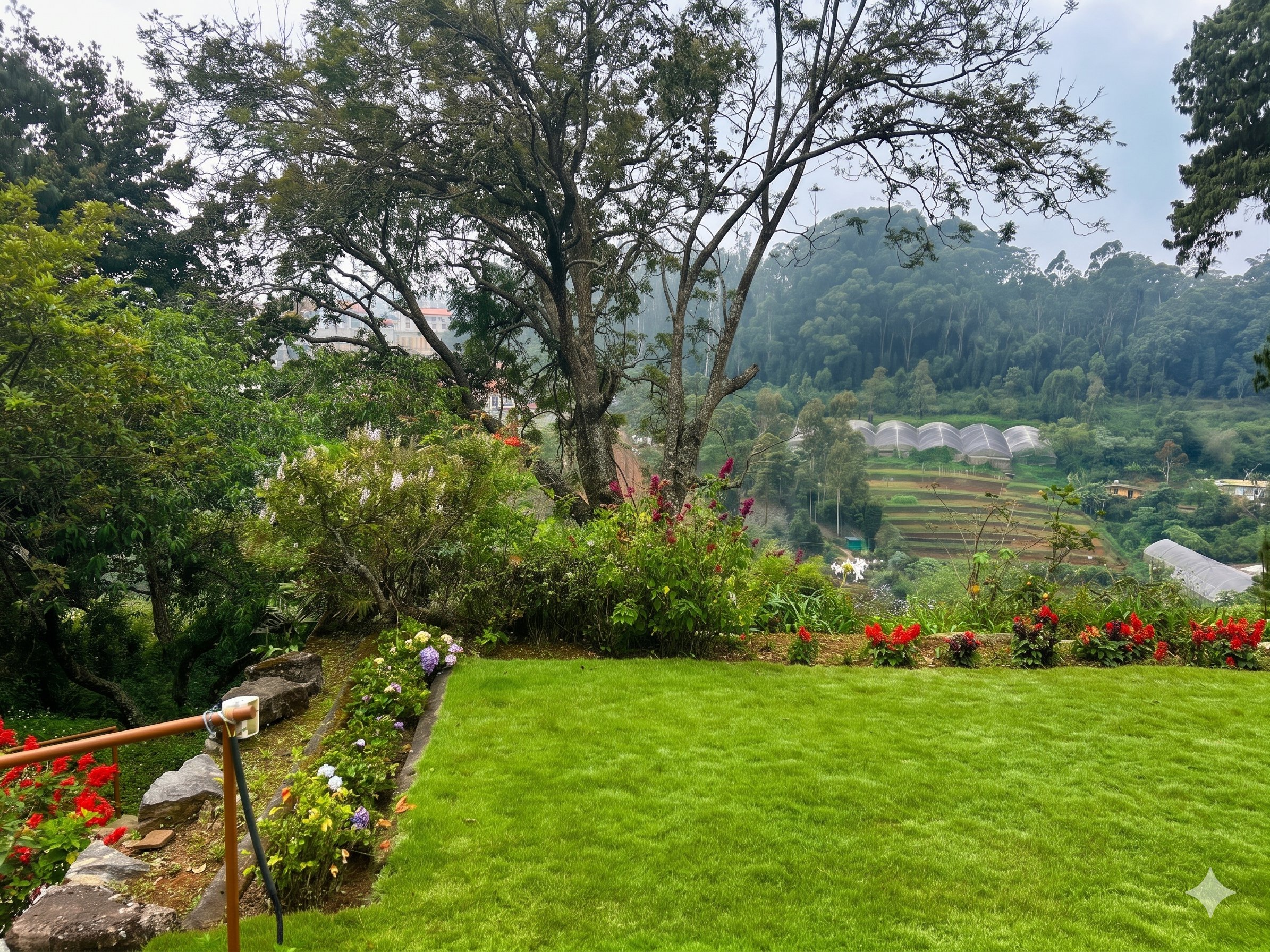 Terraced garden with valley view