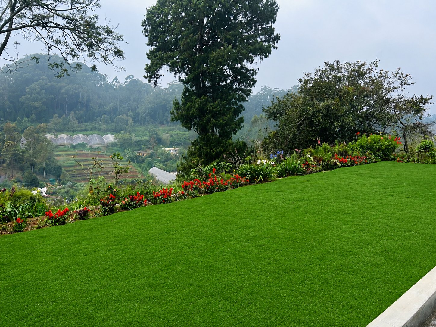 Hilltop lawn overlooking hills
