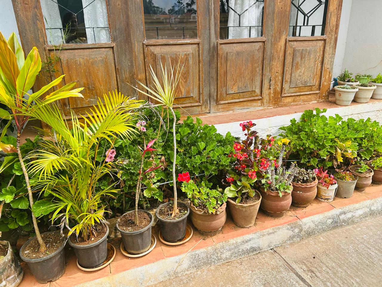 Garden details