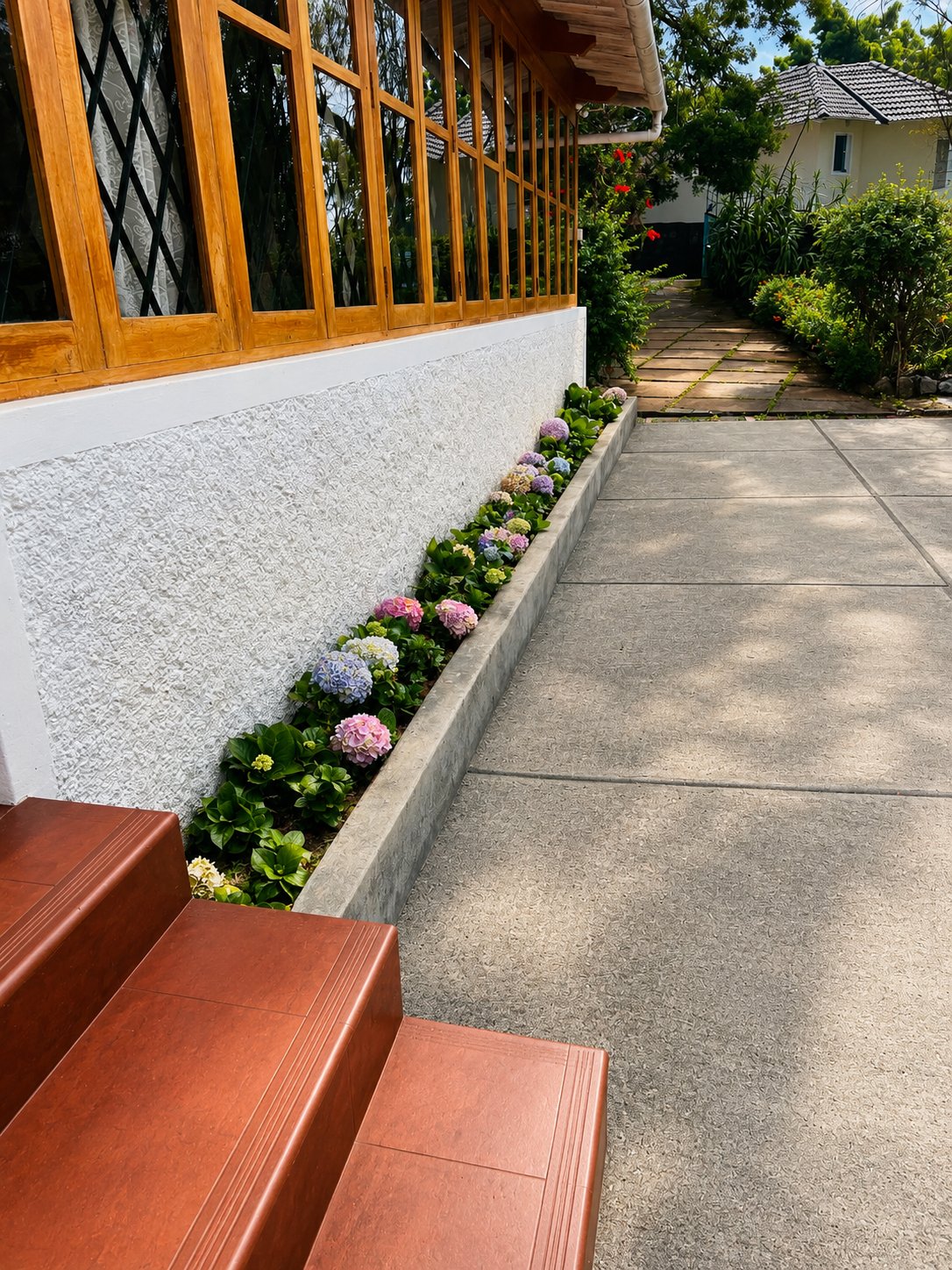 Garden pathway with hydrangeas