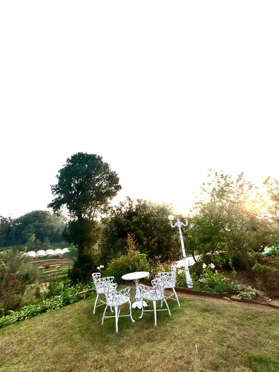 Garden seating at sunset